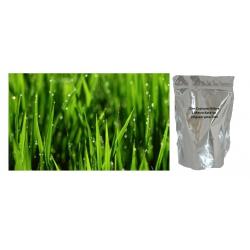 Dengeli çim büyüme gübresi 10 kg 100 - 150 M2 için